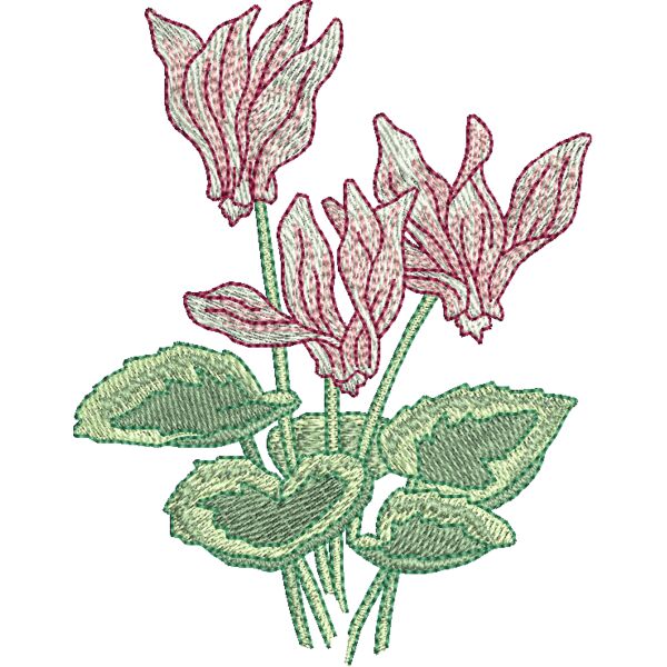 328554 Thumbnail